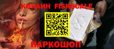 индика Партизанск