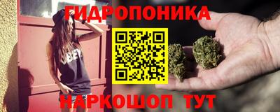 индика Партизанск