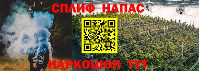 индика Партизанск
