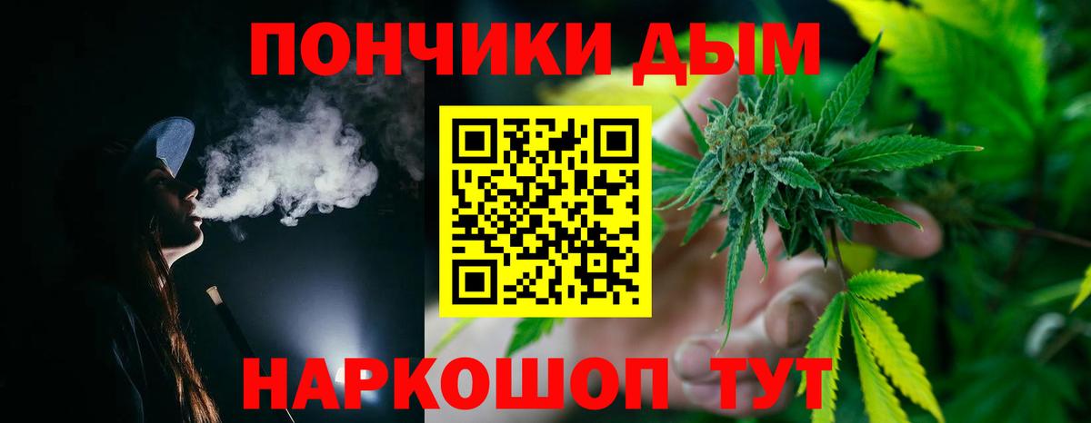 Конопля план Прохладный